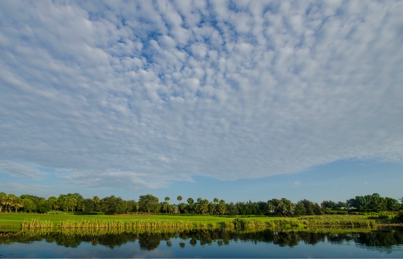 Early morning at the golf course