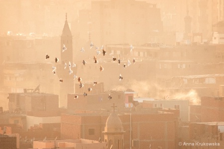 Over the Cairo