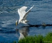 Eating on the Fly
