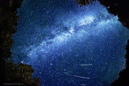 Perseid Meteor Shower