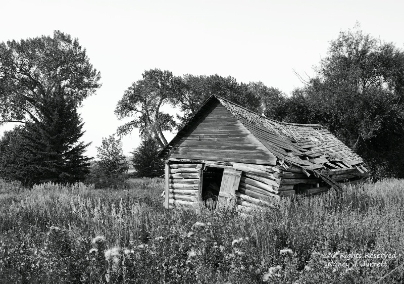 building bridger montana image 8465 pe