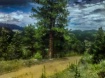 Down The Mountain...