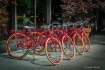 Red Bikes