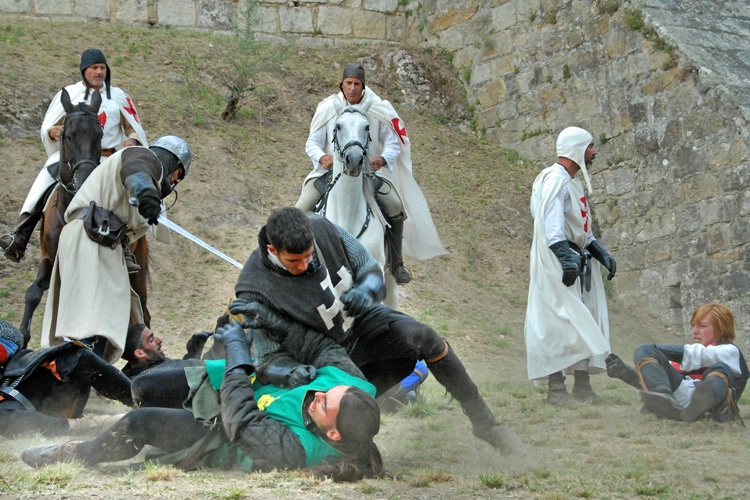 The battle of Sta Maria da Feira