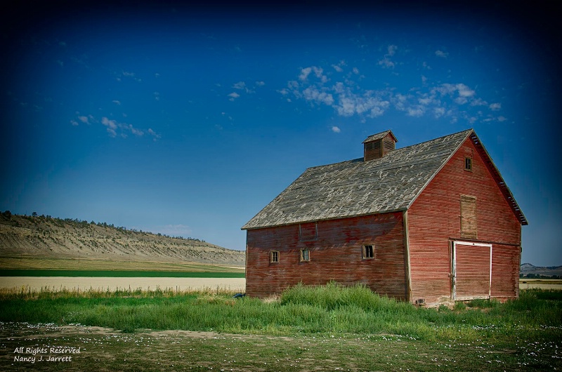 abandoned barn bridger montana image 8474