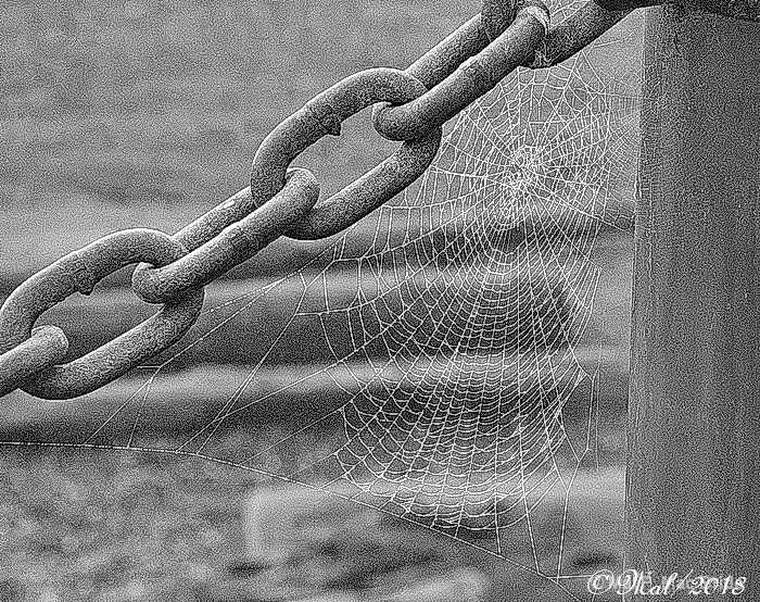 Chain & Web Links - ID: 14044620 © Malcolm Mac Bride
