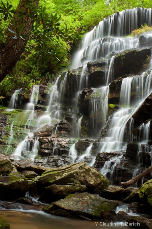 Falls on Yellow Branch