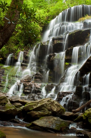 Falls on Yellow Branch