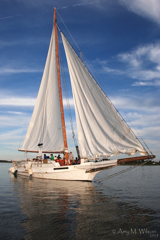 Chesapeake Bay Beauty