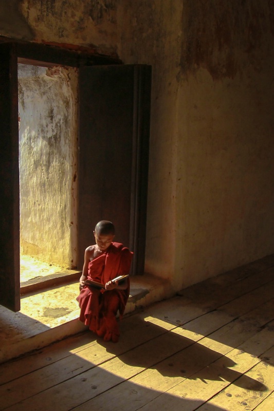 The Shadow