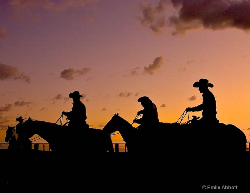 Cowboy silhouettes at dawn - ID: 14056729 © Emile Abbott