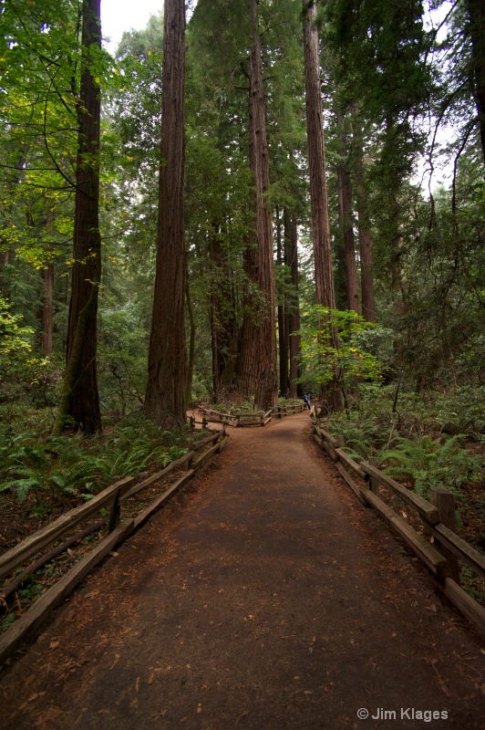 Canyon Floor Trail - ID: 14056856 © Jim Klages