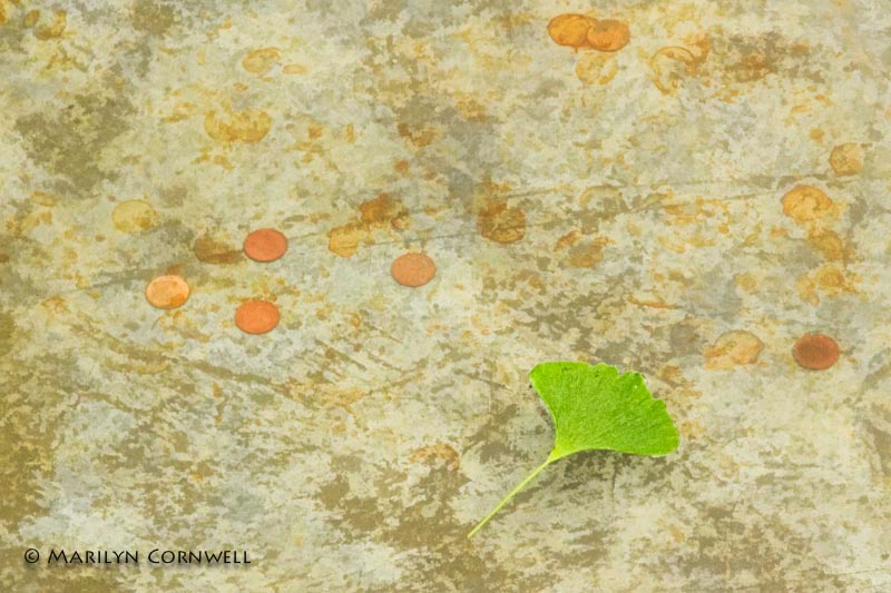 Good Luck from the Past and the Present - ID: 14058172 © Marilyn Cornwell
