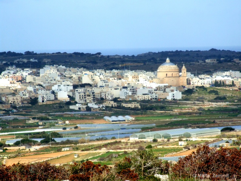 Typical Maltese Countryside