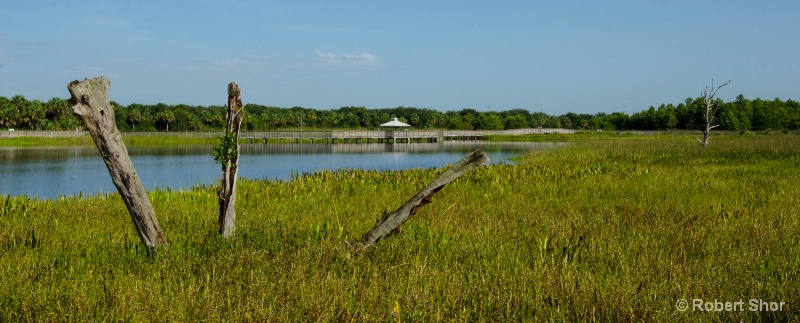 Florida wetlands