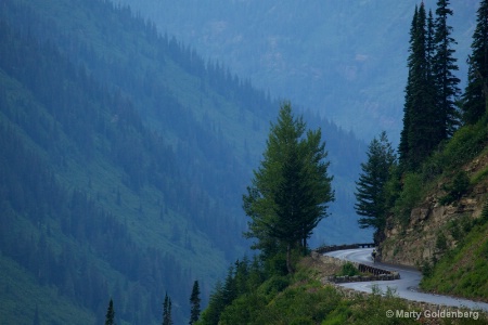 Lone Cyclist