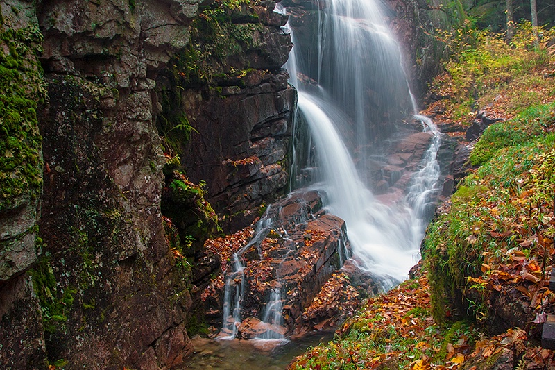 Colors of Fall