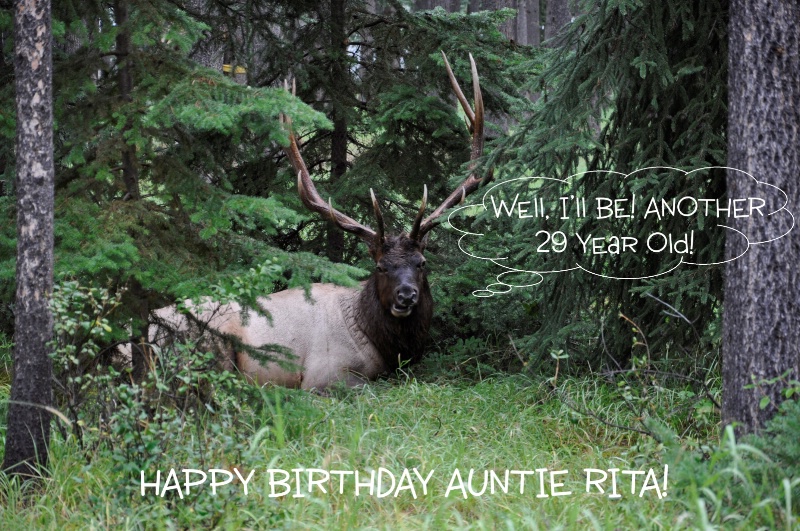 HAPPY BIRTHDAY AUNTIE RITA! 