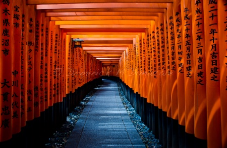 ~ ~ INSIDE THE TORII ~ ~