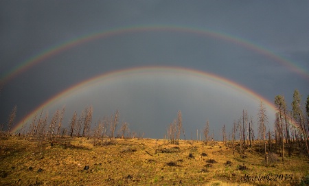 (Double) Rainbow Brite