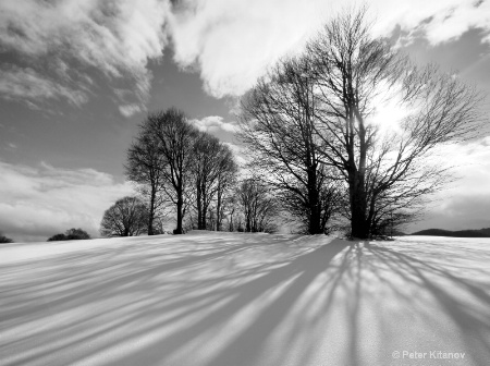 Winter Shadows