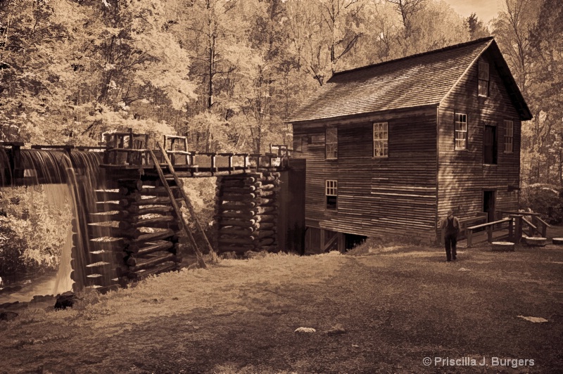 Miller at Mingus Mill