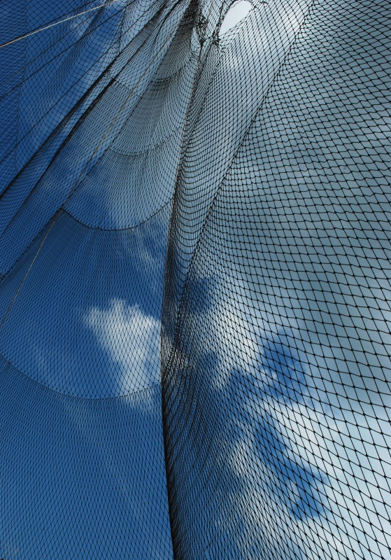 Net and Sky