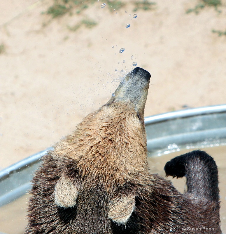 A nice Shower