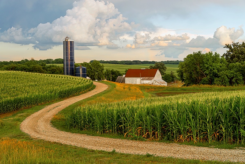 Country Scene