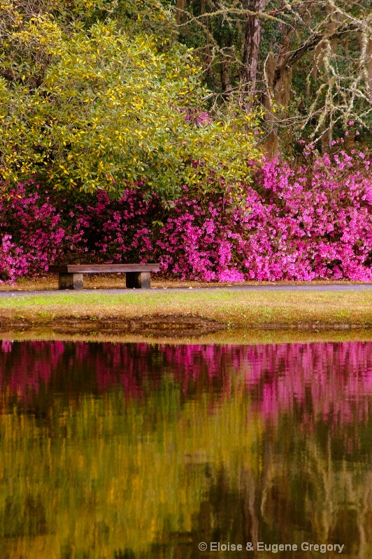 Spring Reflections