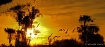 REFLECTING SUNSET