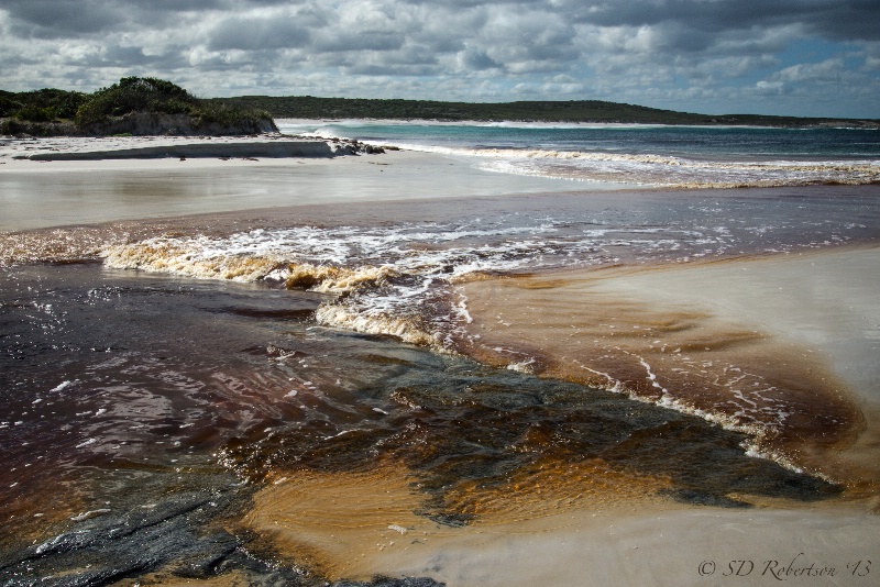 Poison Creek Meets the Great Southern Ocean