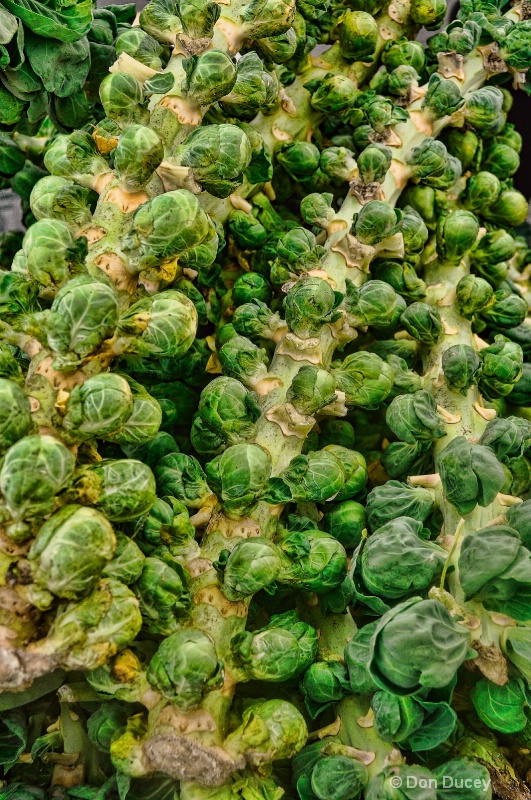 Street Market--Sprouts