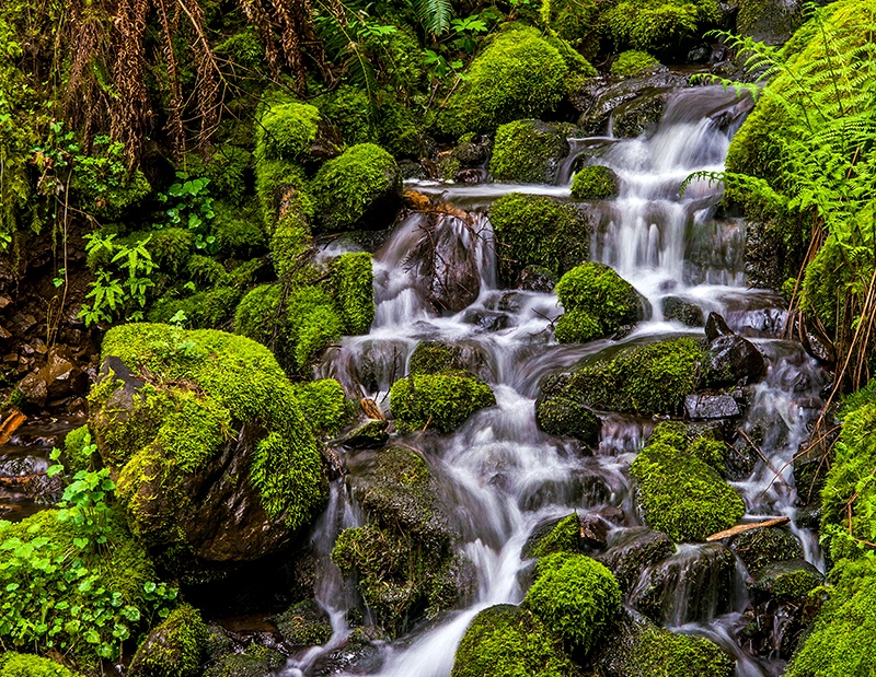 Along The Columbia River Gorge