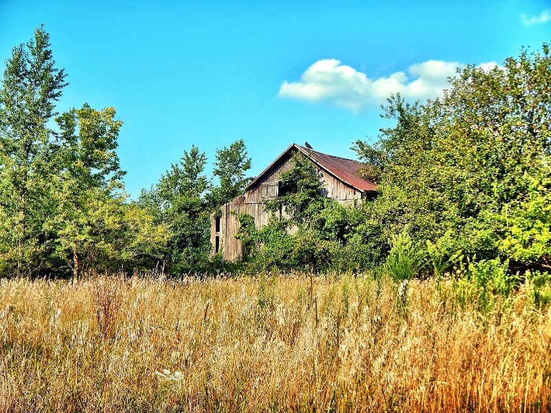 Old rustic Indiana barn