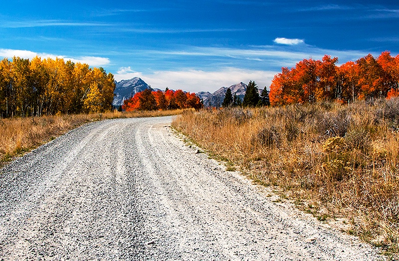 Idaho In The Fall