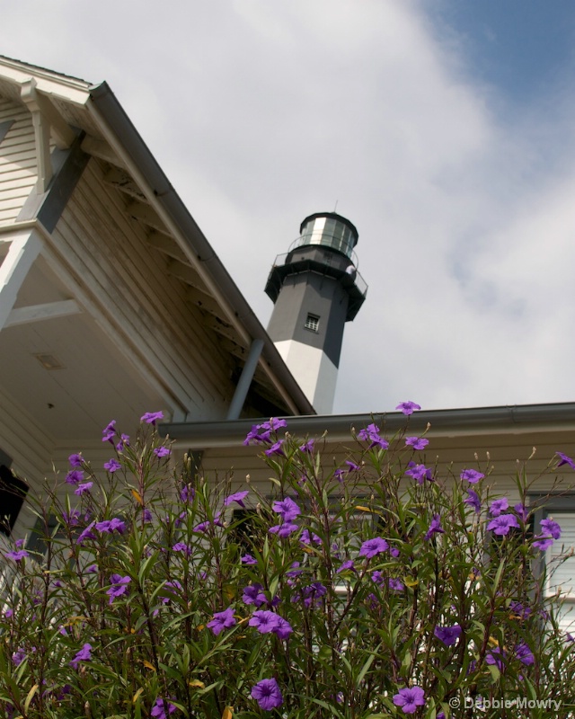 Flowers at the Lighthouse