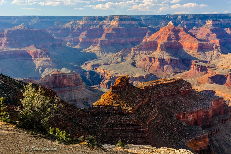 a classical view of the Grand Canyon