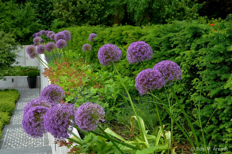 Antje's Garden - ID: 14097198 © Susanne M. Arendt