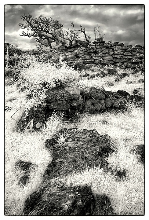 In the Burren, Ireland - ID: 14102609 © Glenn Affleck