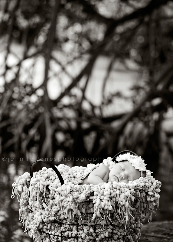 Baby, Branches & Basket