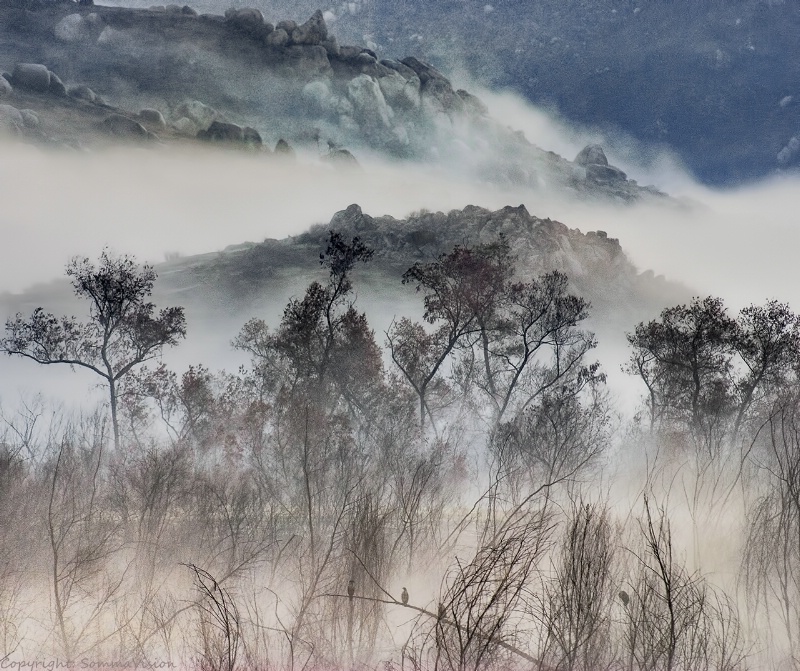 San Bernardino Mountains