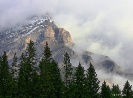 Canadian Rockies Wrapped In Fog