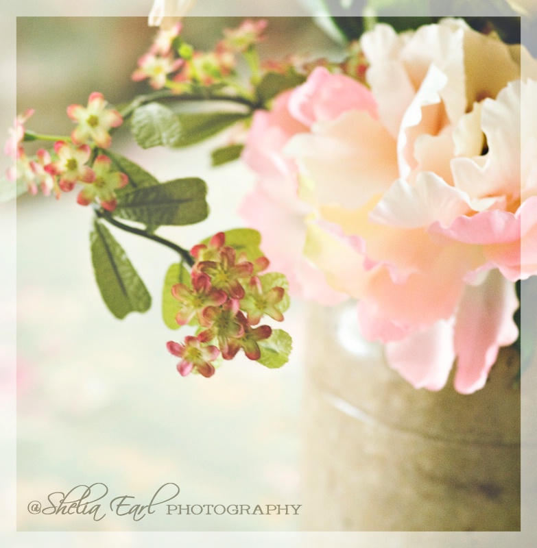 Floral Print 2 - ID: 14109222 © Shelia Earl