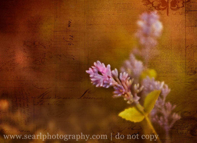 Floral Print 3 - ID: 14109224 © Shelia Earl