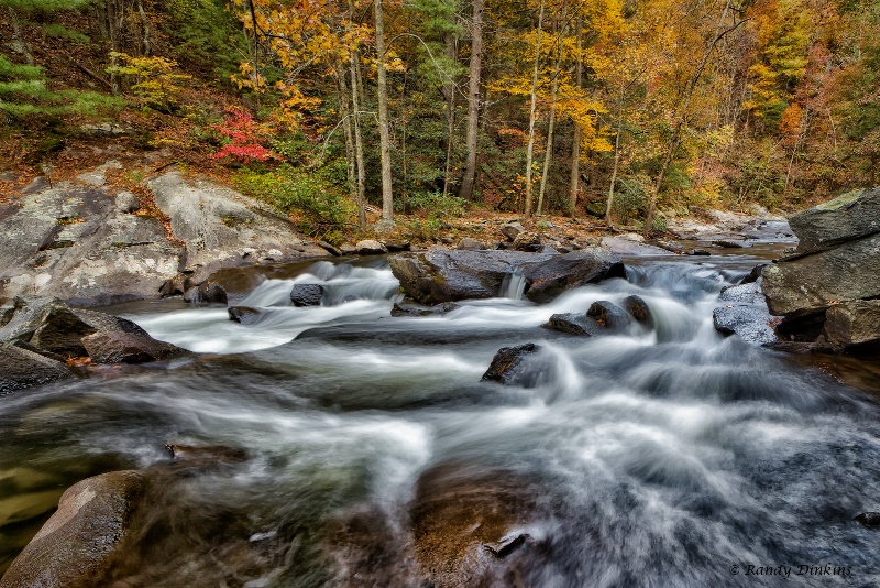 Fall Run