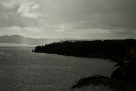 Line of Palms AFTER