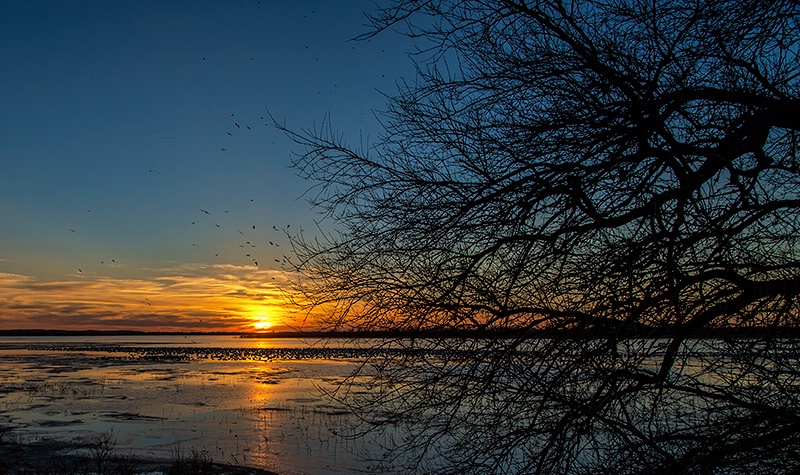 Winter Sunset