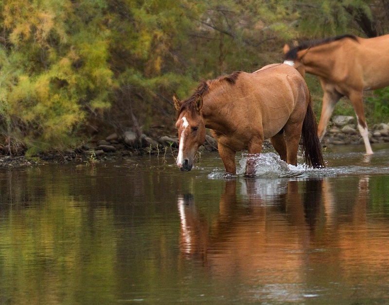 River Crossing