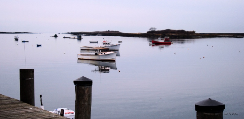 CAPE PORPOISE VIEW